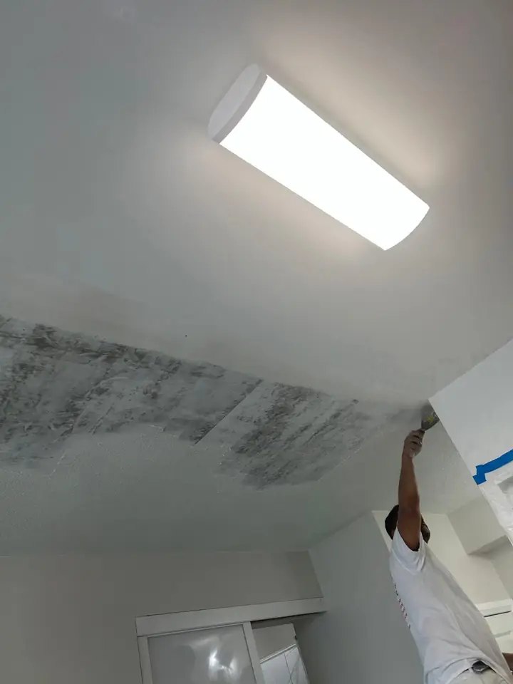 EcoHarmony painter cutting in a ceiling by hand